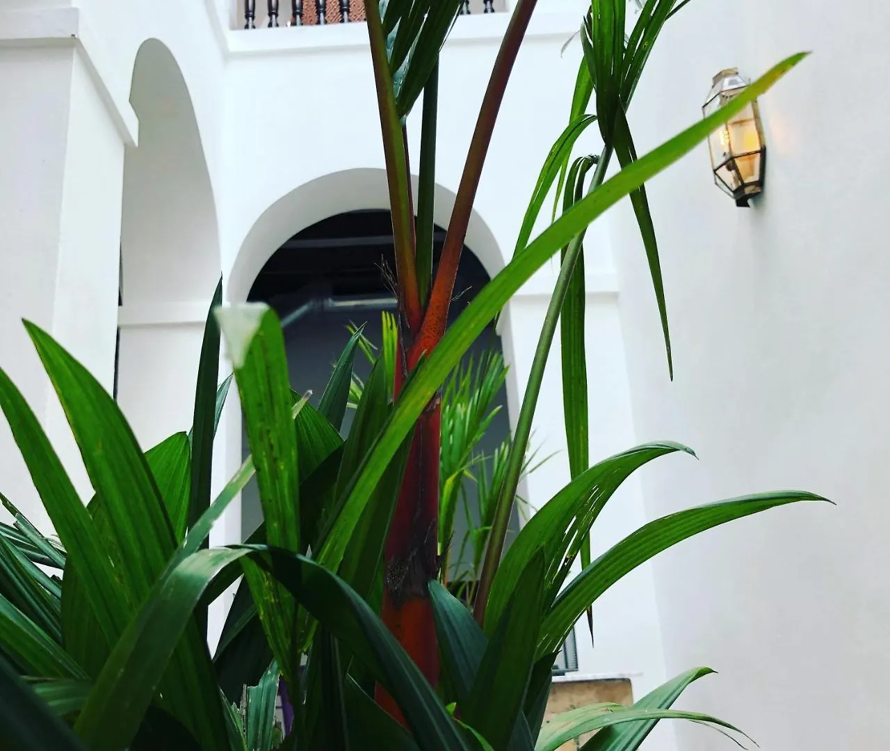 *** Estalagem 352 Guest House Hotel Boutique San Juan Porto Rico
